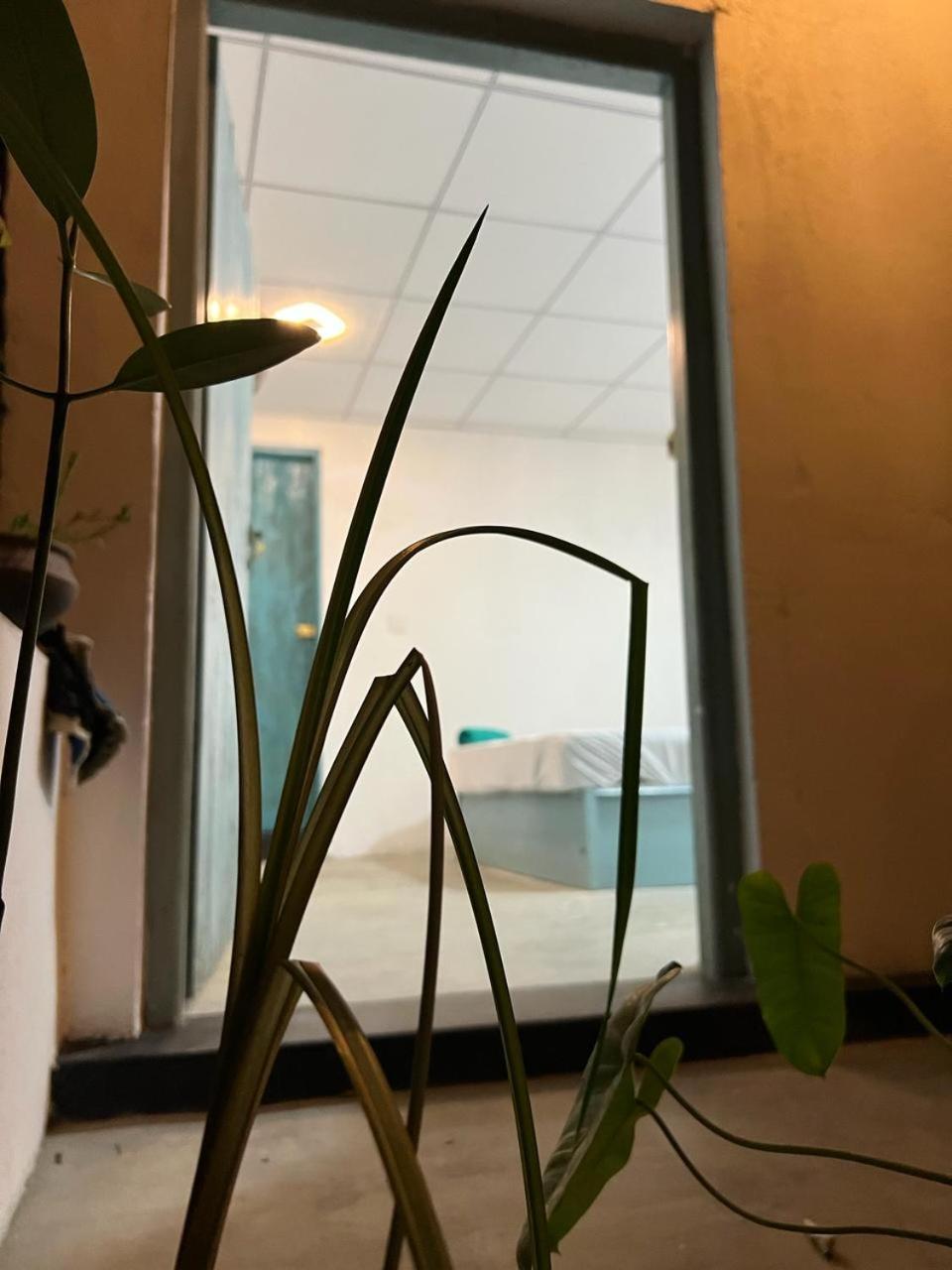 הוסטל ארוגם Cactus Arugambay מראה חיצוני תמונה