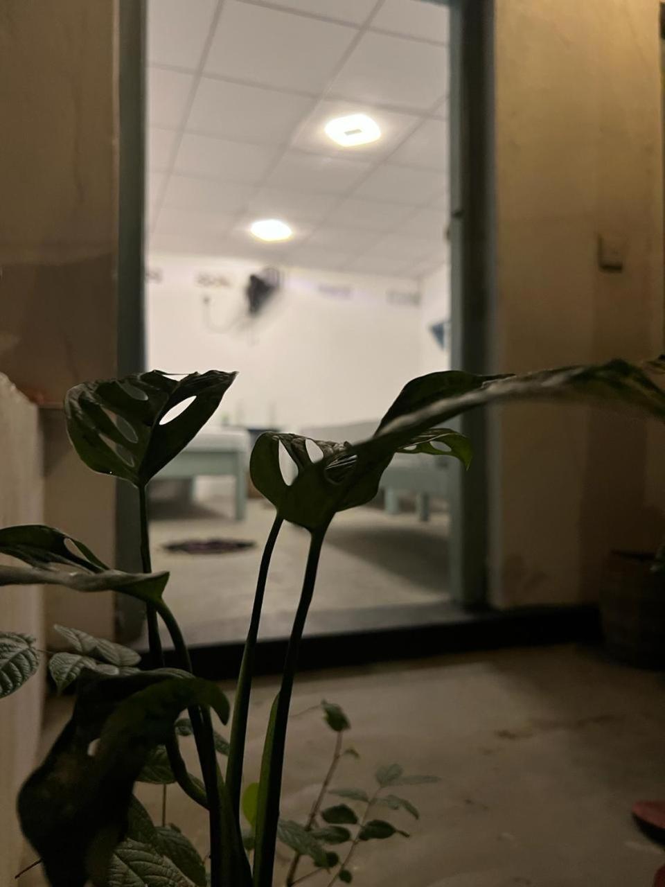הוסטל ארוגם Cactus Arugambay מראה חיצוני תמונה