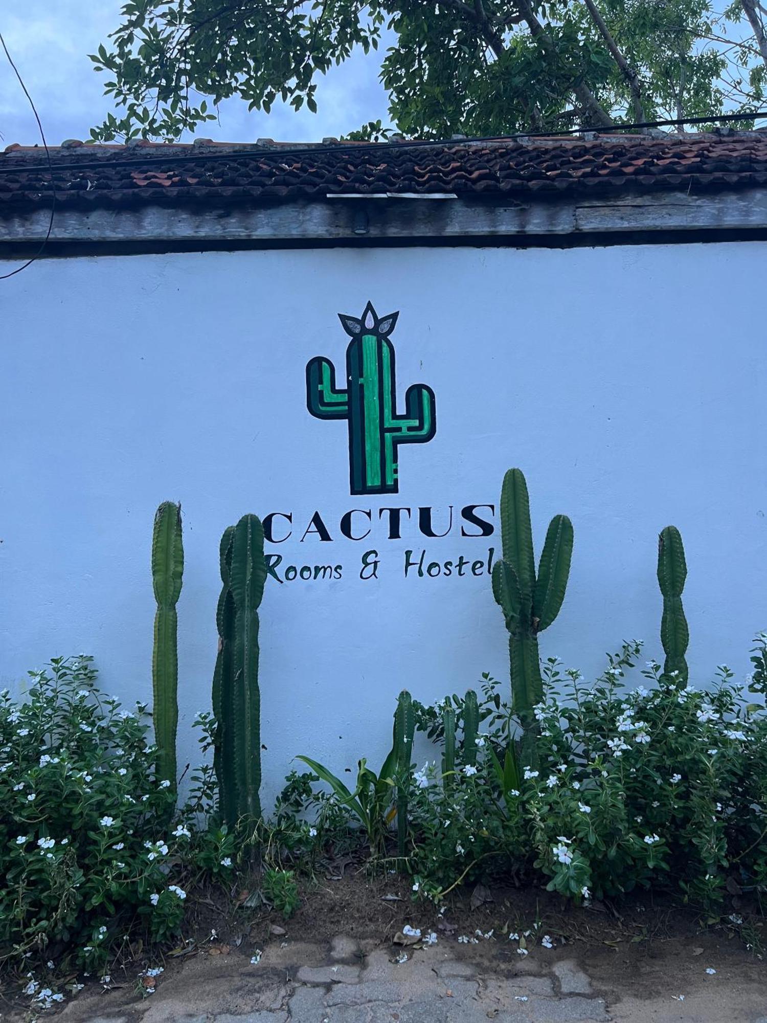 הוסטל ארוגם Cactus Arugambay מראה חיצוני תמונה